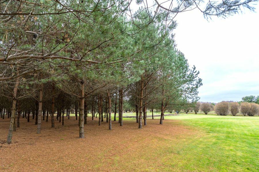 1-этажный коттедж 300 м² с отделкой