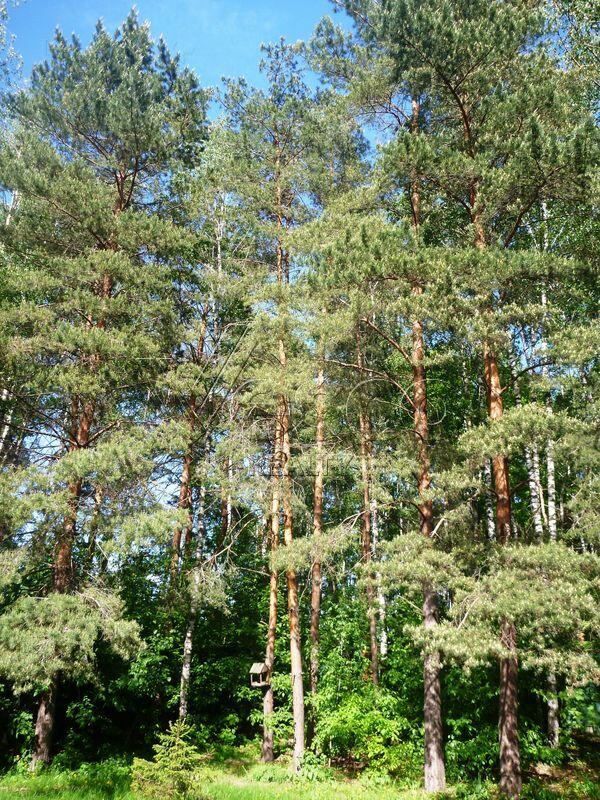 2-этажный коттедж 500 м² с отделкой