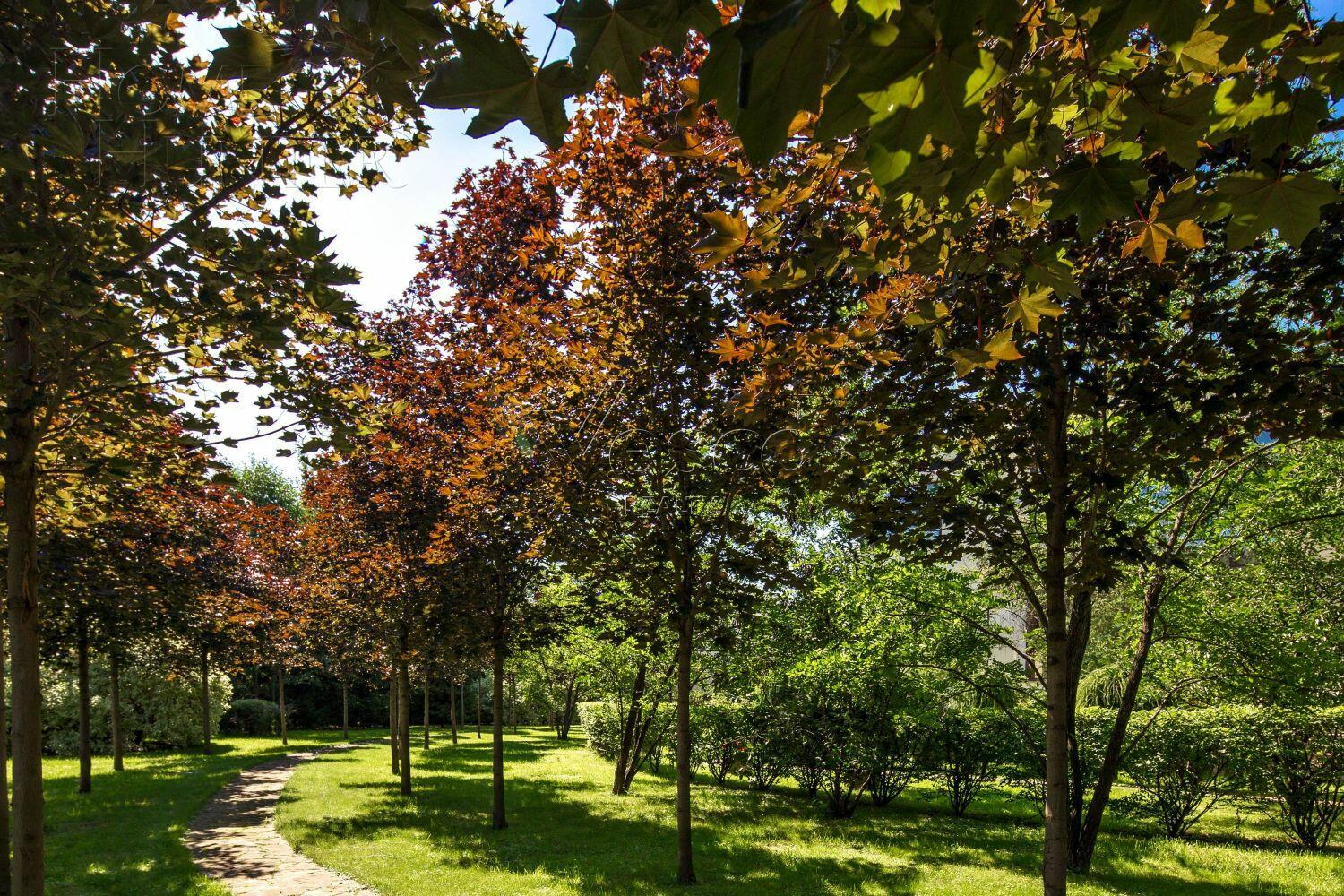 2-этажный коттедж 1 200 м² с отделкой