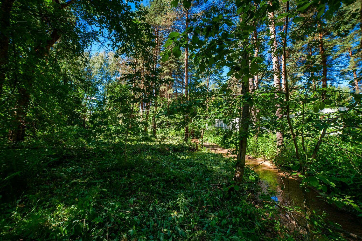 Участок 50 сот. в охраняемом поселке