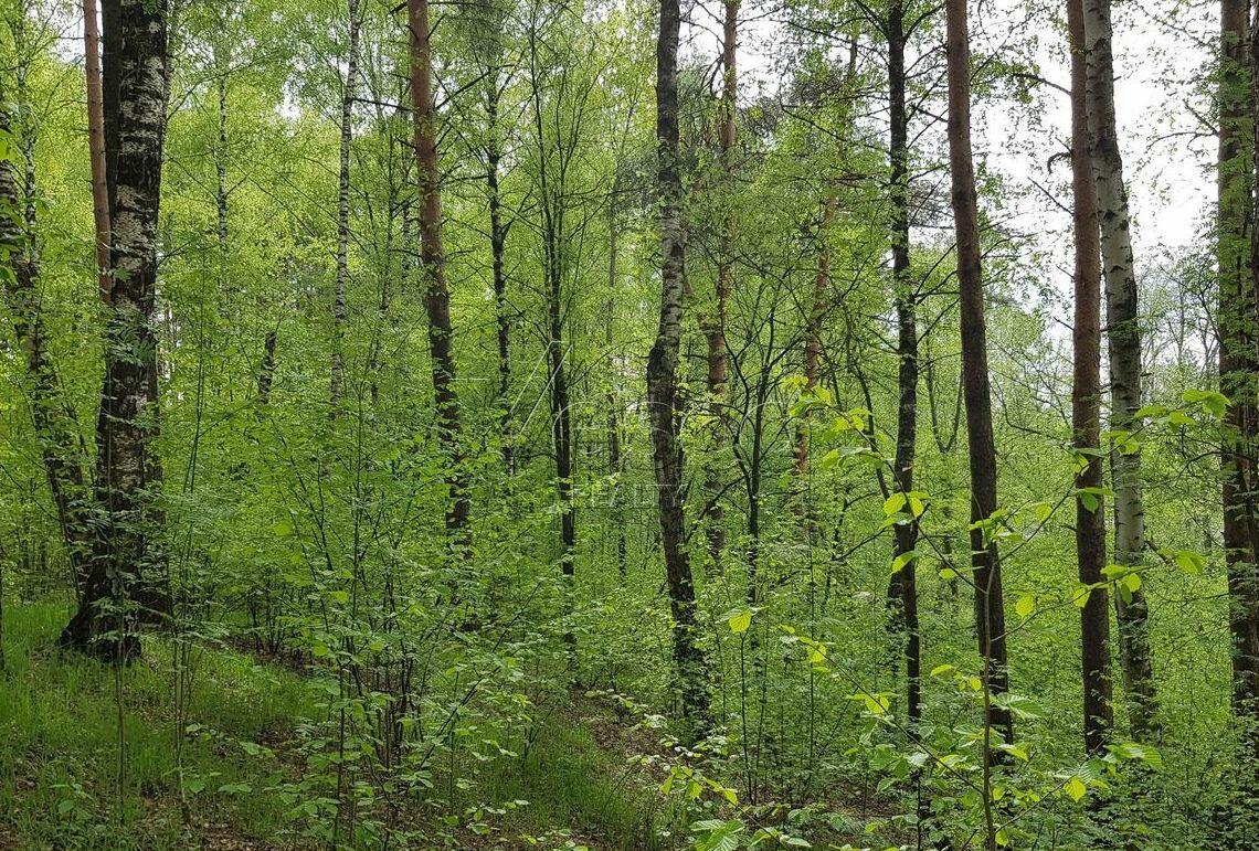 Участок 117 сот. в охраняемом поселке