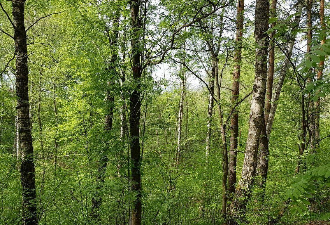 Участок 117 сот. в охраняемом поселке