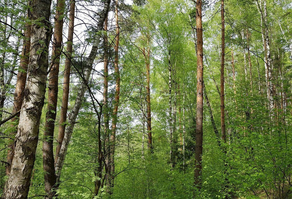 Участок 117 сот. в охраняемом поселке