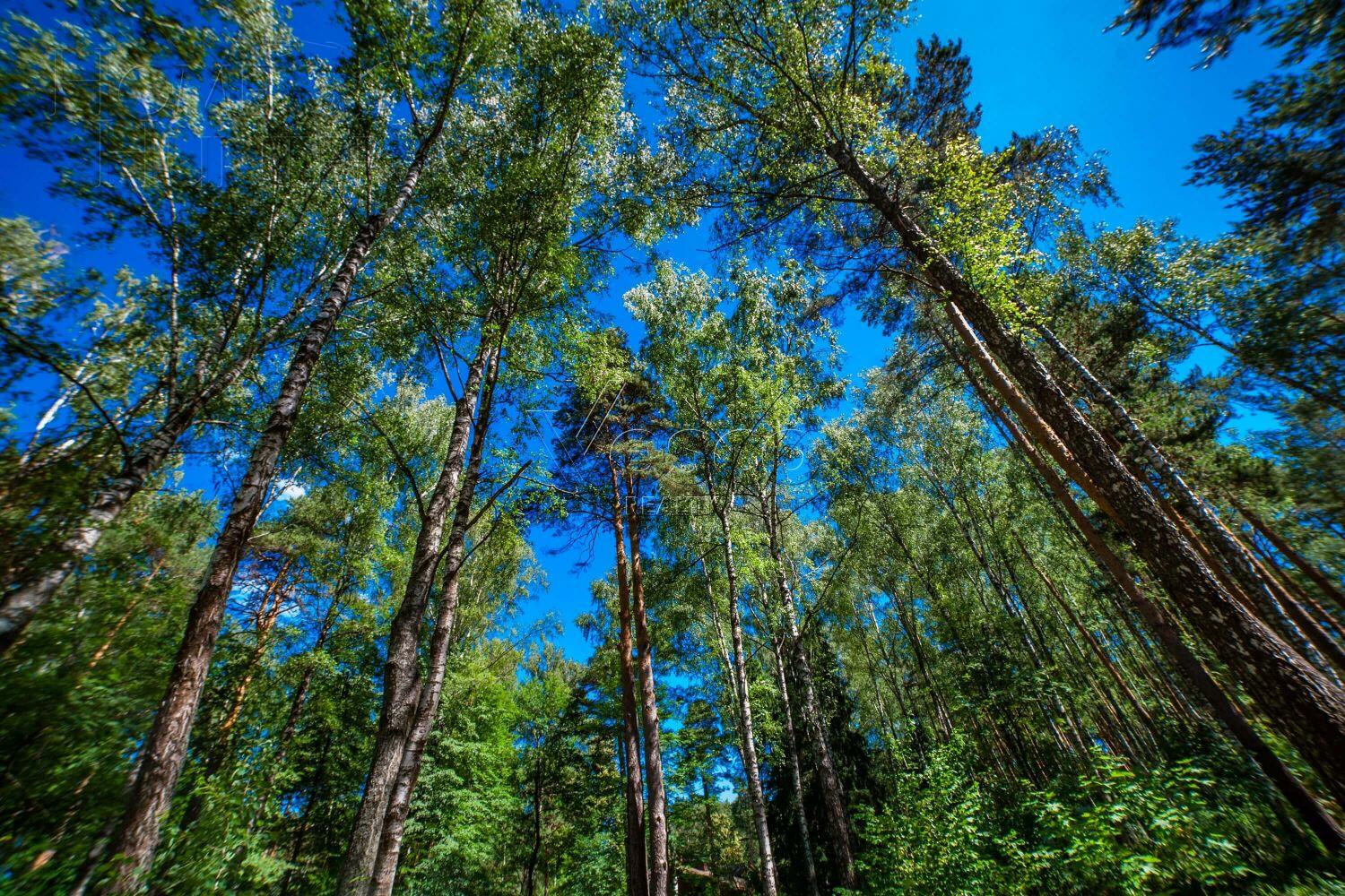 Участок 50 сот. в охраняемом поселке