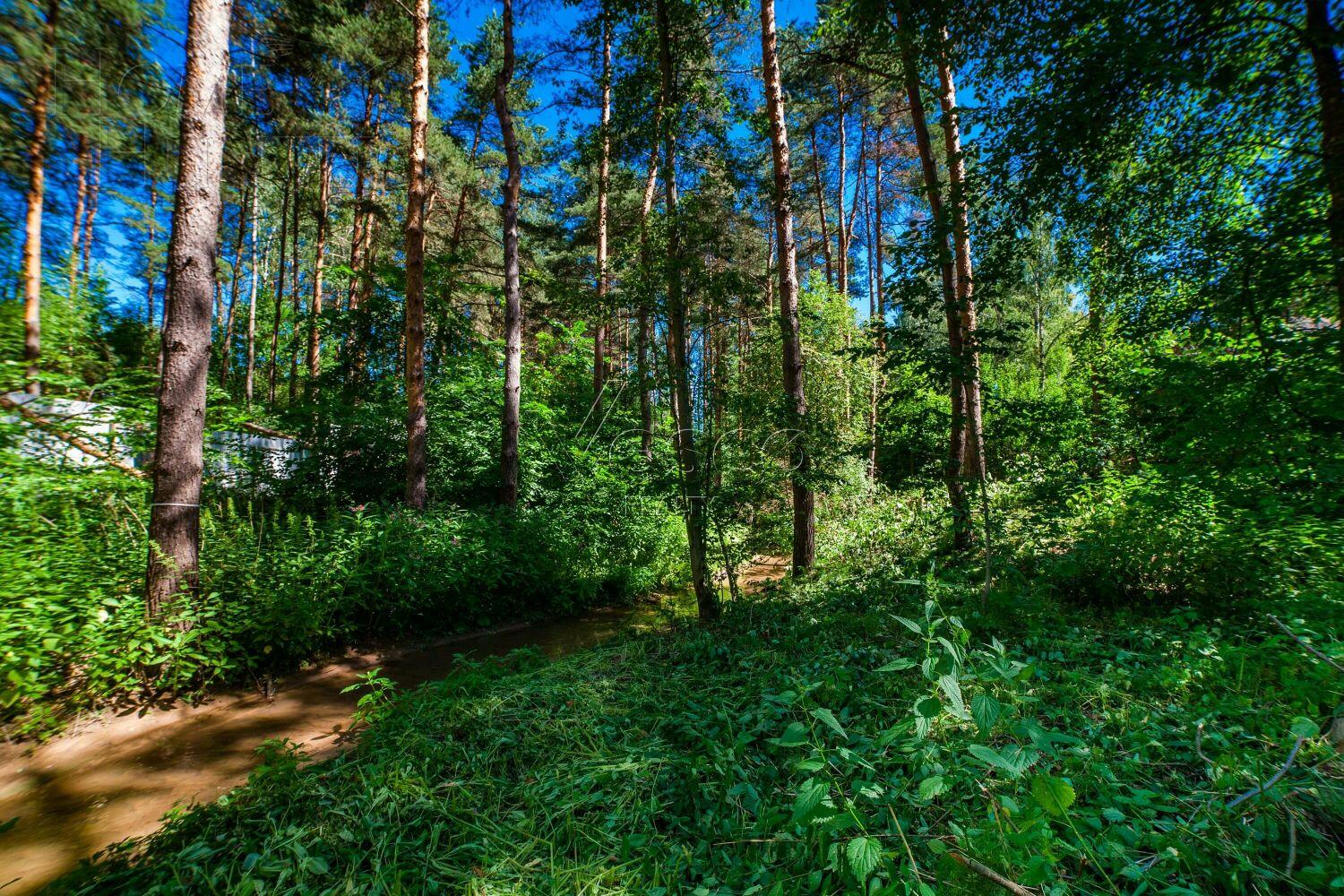 Участок 50 сот. в охраняемом поселке