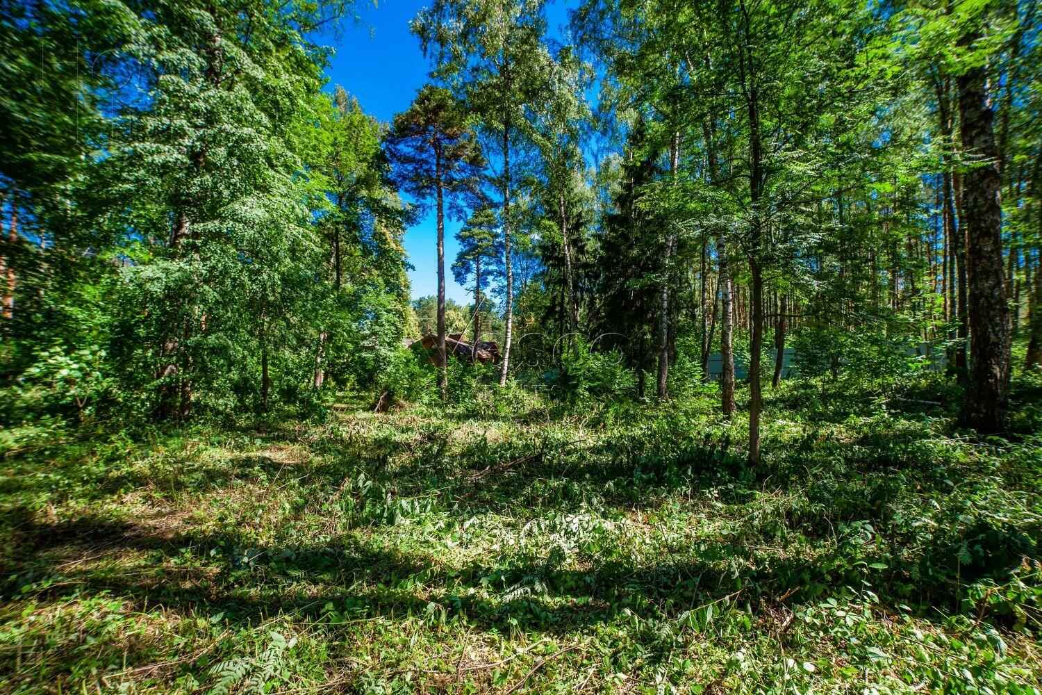 Участок 50 сот. в охраняемом поселке