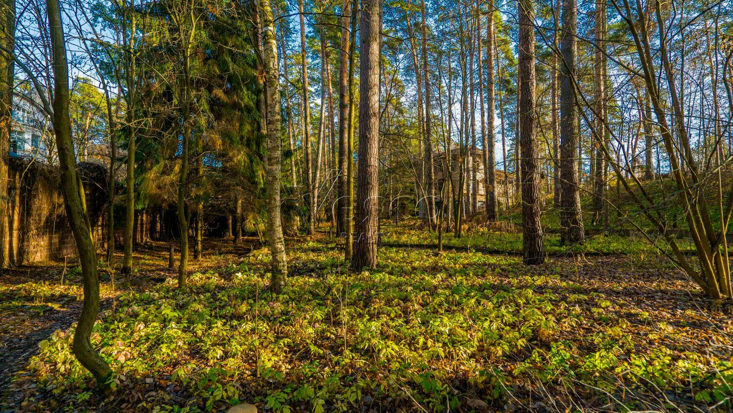 3-этажный коттедж 1 170 м² без отделки