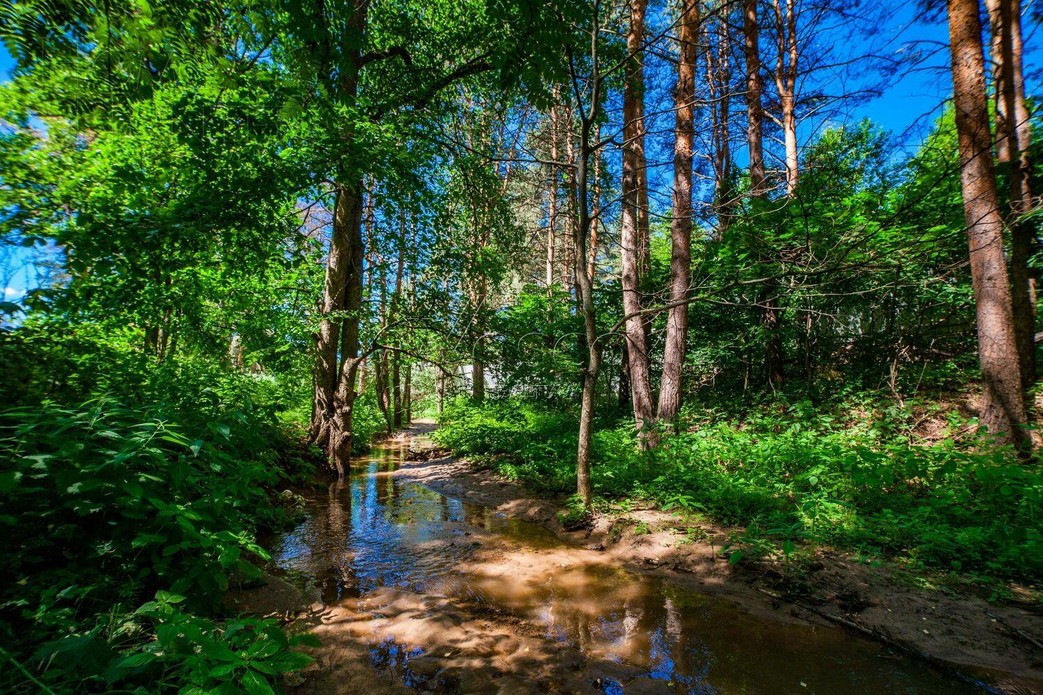 Участок 50 сот. в охраняемом поселке