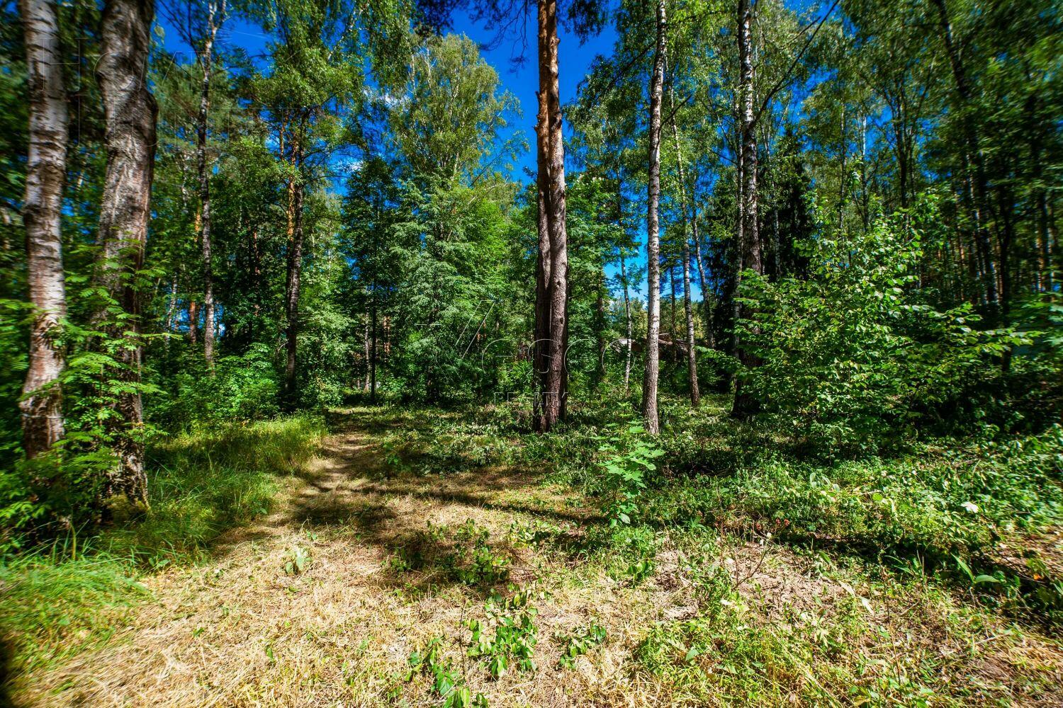 Участок 50 сот. в охраняемом поселке