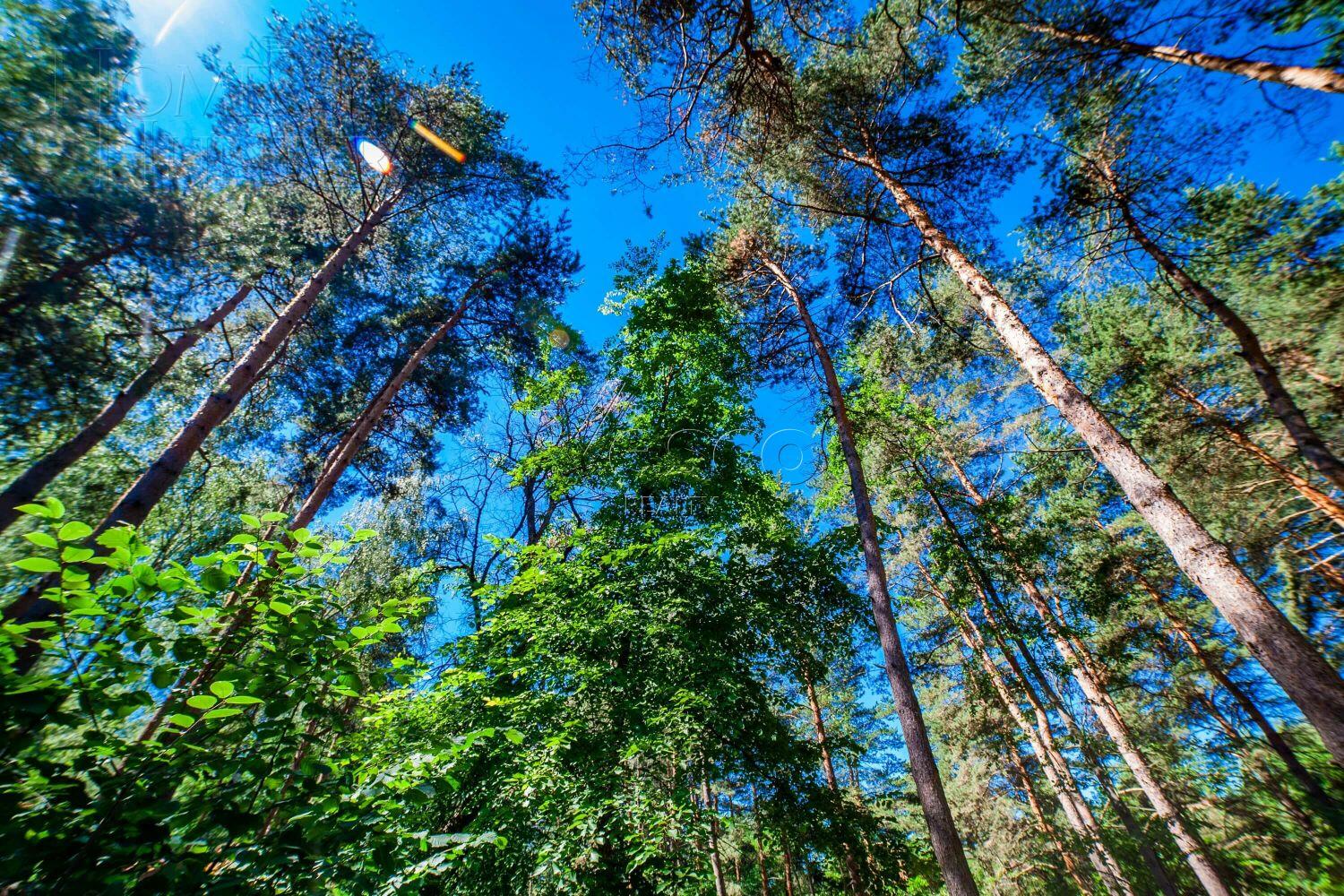 Участок 50 сот. в охраняемом поселке