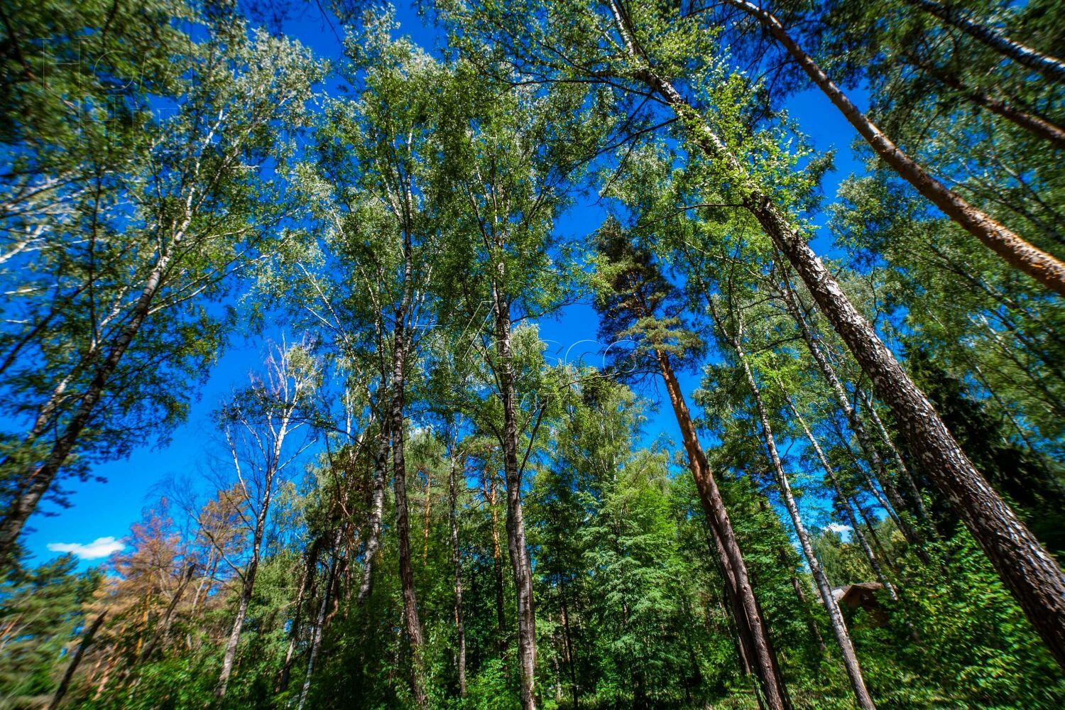 Участок 50 сот. в охраняемом поселке