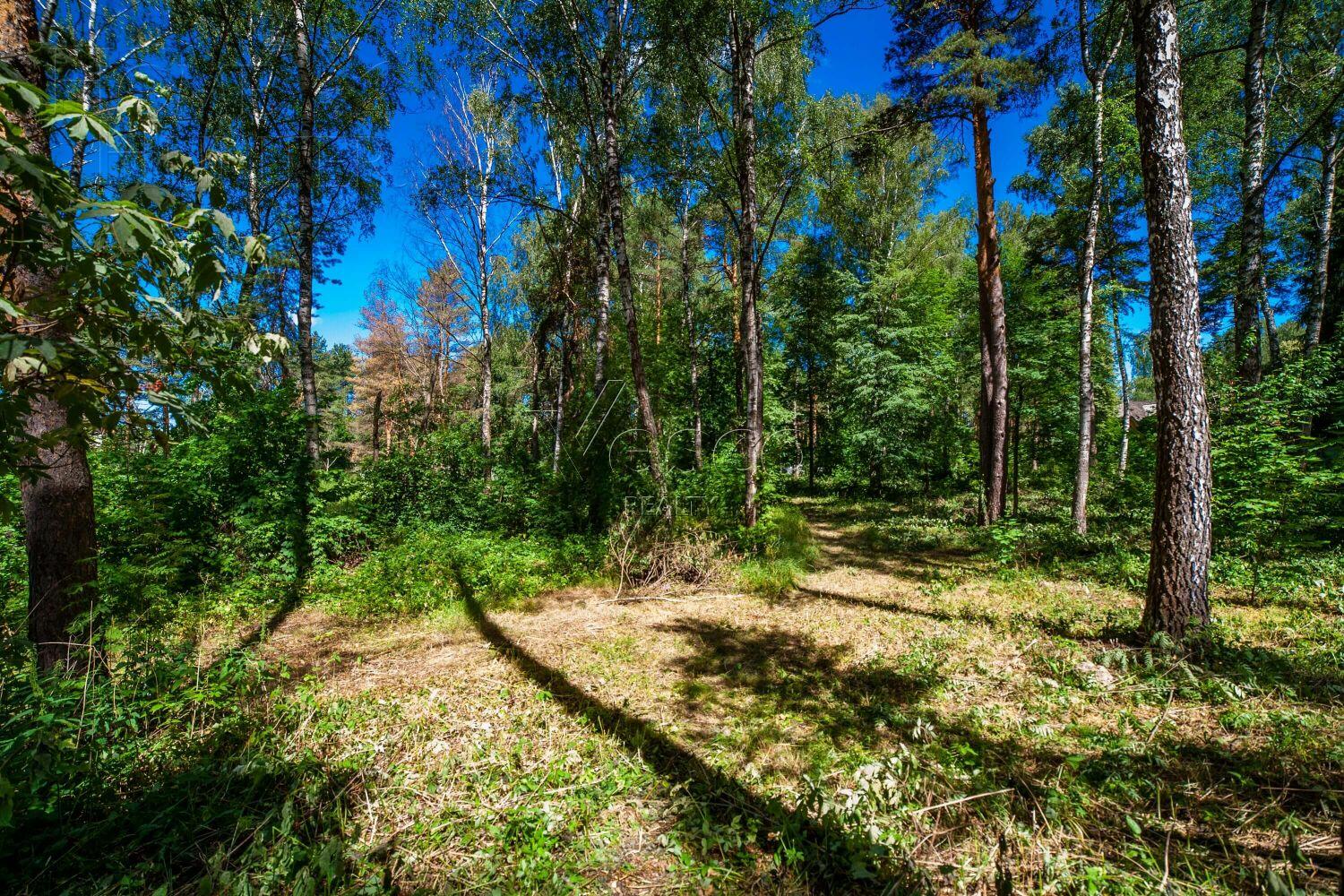 Участок 50 сот. в охраняемом поселке