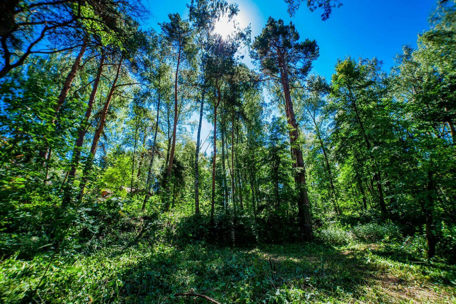 Участок 50 сот. в охраняемом поселке