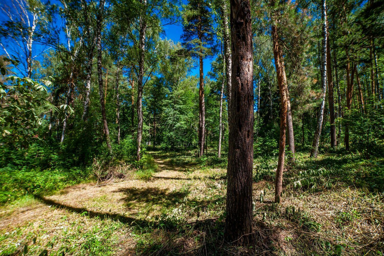 Участок 50 сот. в охраняемом поселке