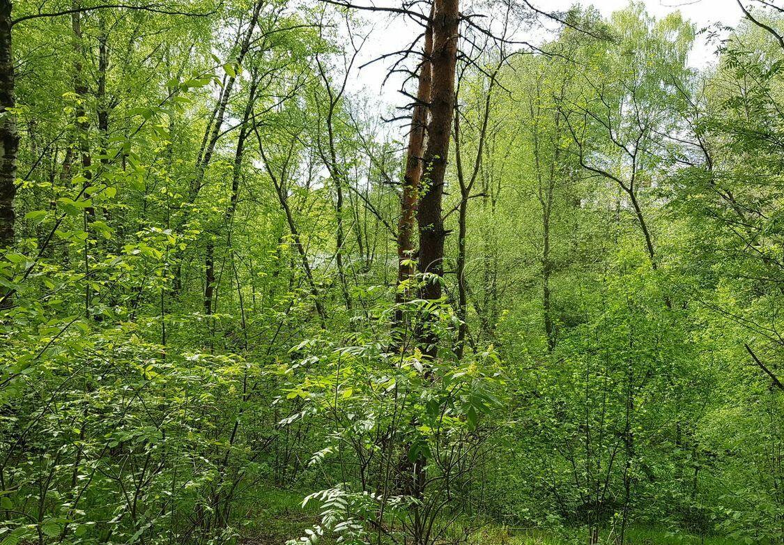 Участок 117 сот. в охраняемом поселке