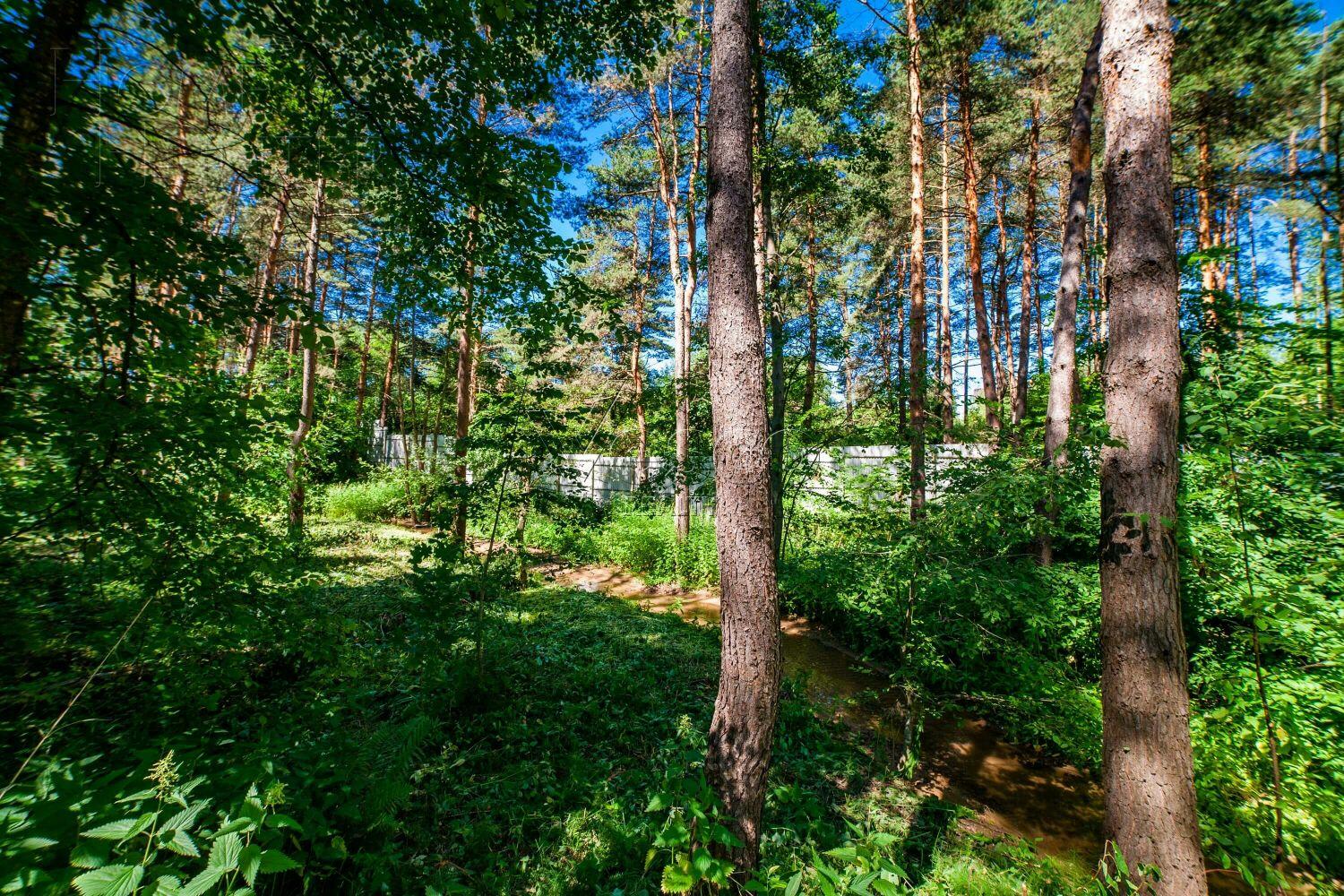 Участок 50 сот. в охраняемом поселке