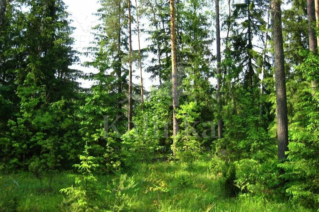 Участок 44 сот. в охраняемом поселке