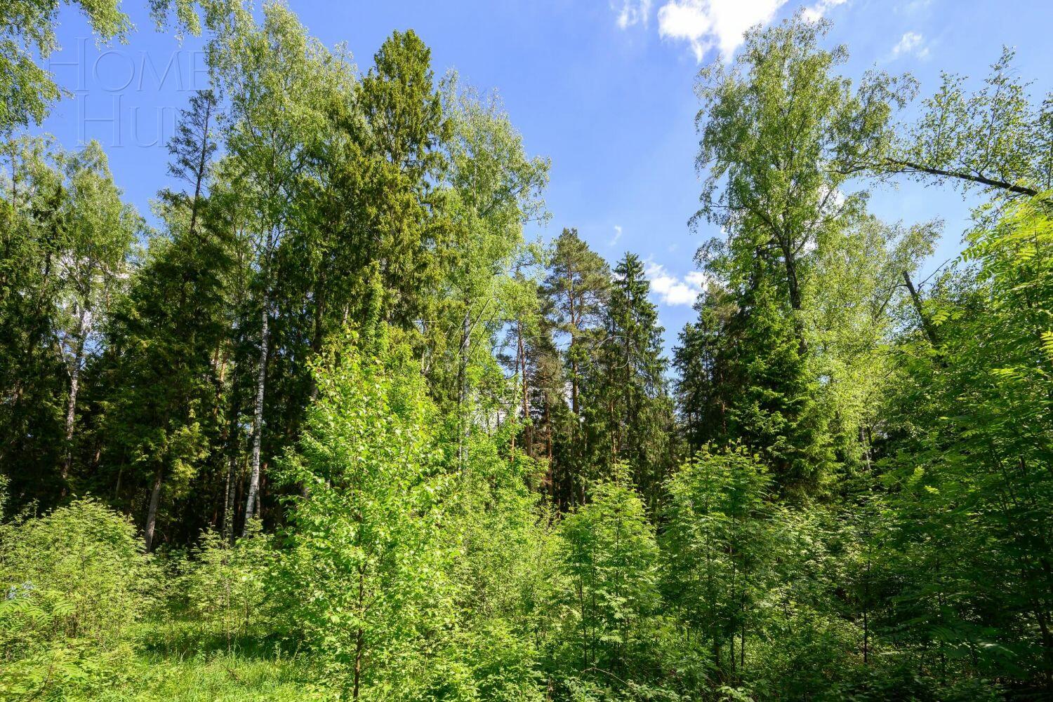 Участок 270.5 сот. в охраняемом поселке