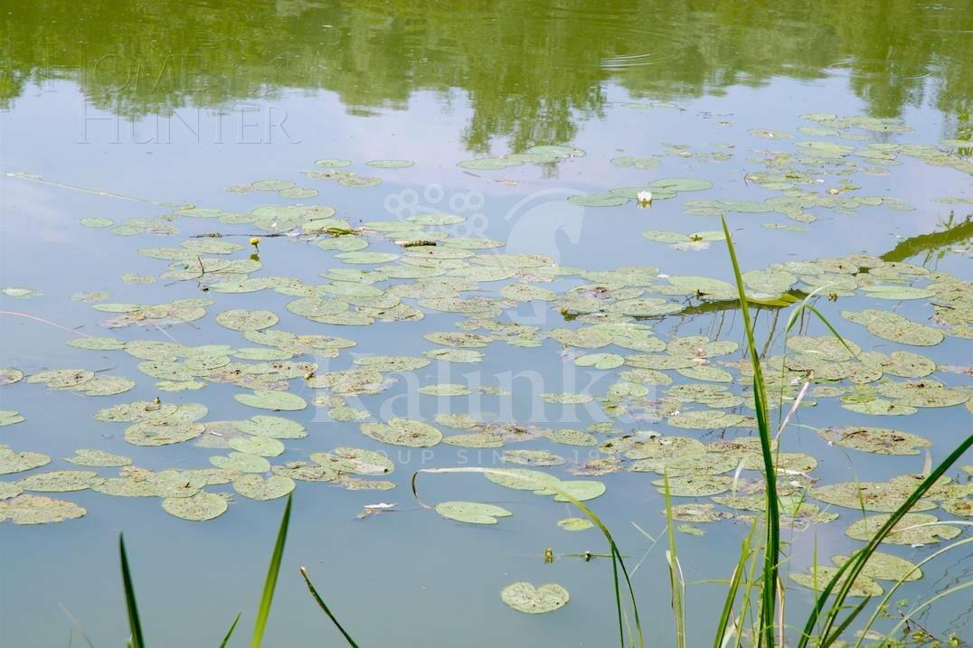 3-этажный коттедж 1 500 м² без отделки