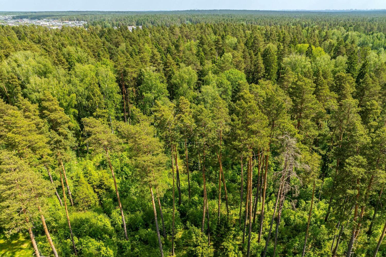 Участок 270.5 сот. в охраняемом поселке