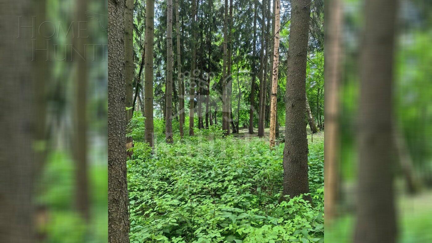 Участок 19.4 сот. в охраняемом поселке