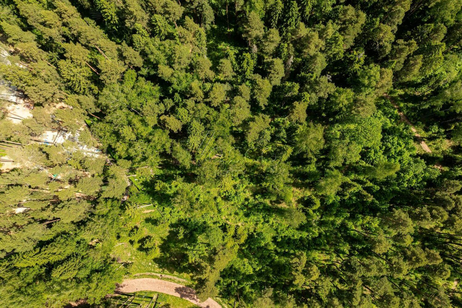 Участок 270.5 сот. в охраняемом поселке