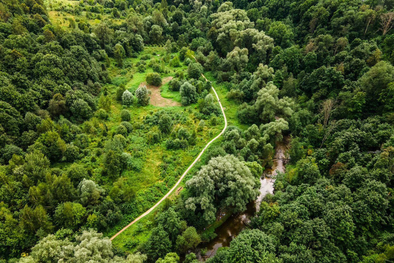 Участок 84 сот.