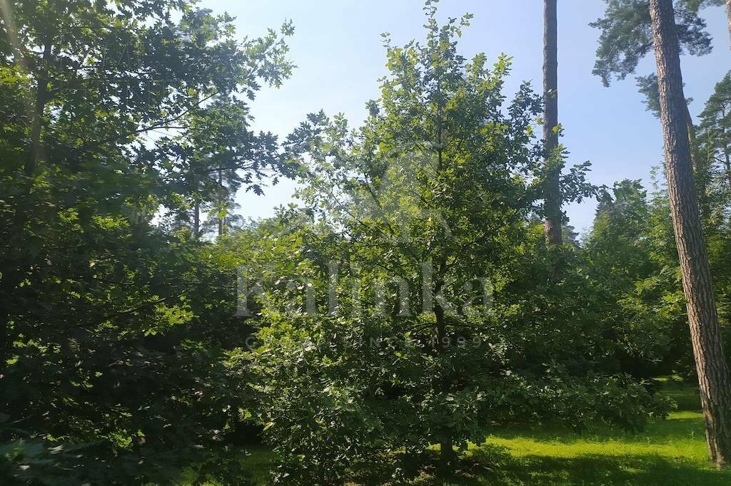 Участок 60 сот. в охраняемом поселке