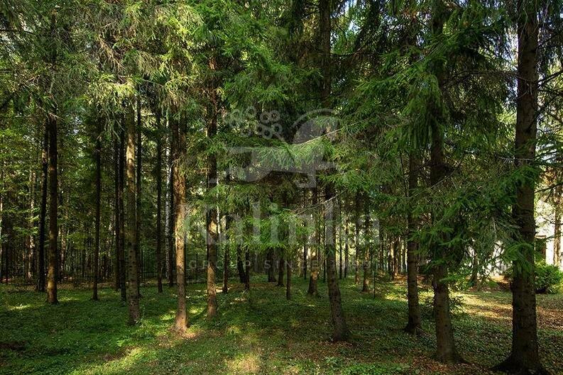 2-этажный коттедж 1 100 м² с отделкой