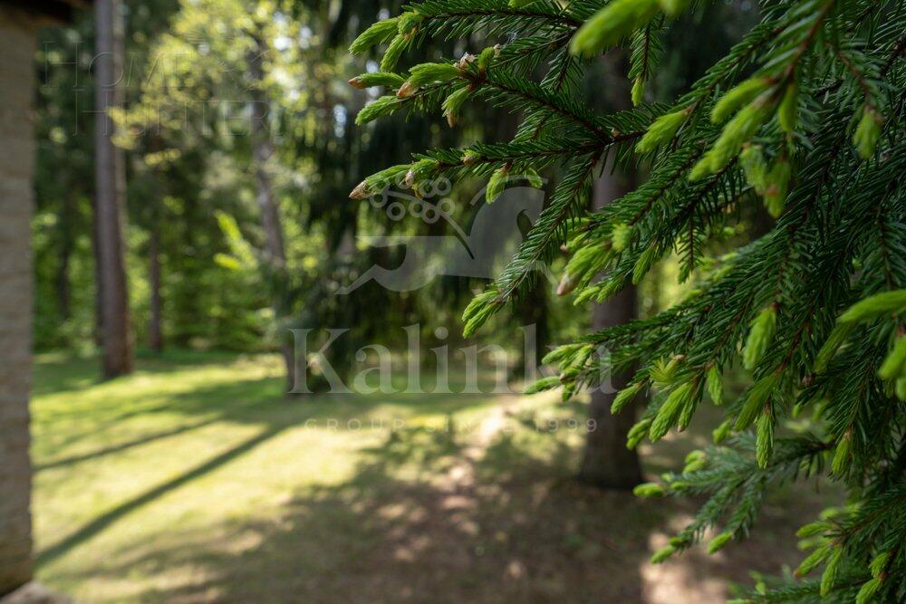 2-этажный коттедж 2 700 м² с отделкой