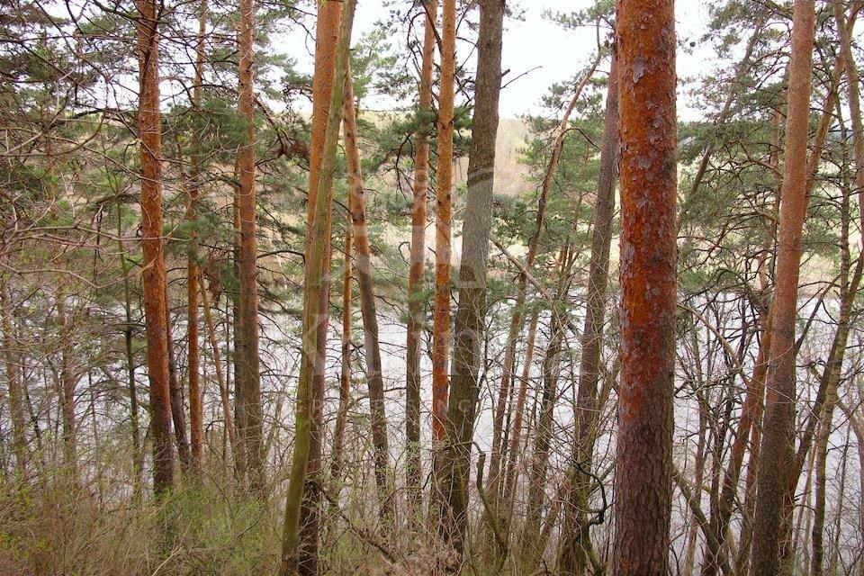 3-этажный коттедж 1 500 м² без отделки