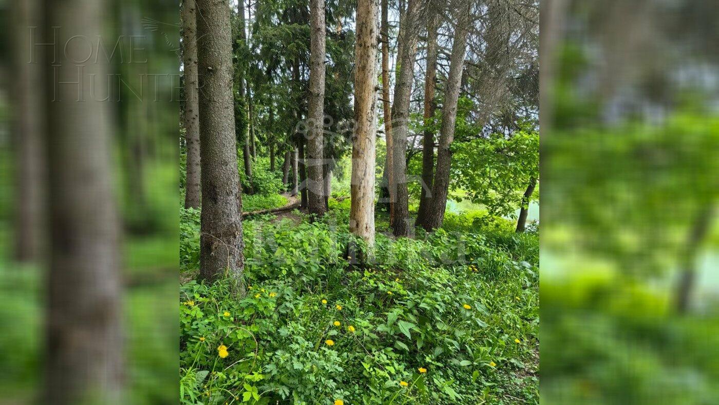 Участок 19.4 сот. в охраняемом поселке