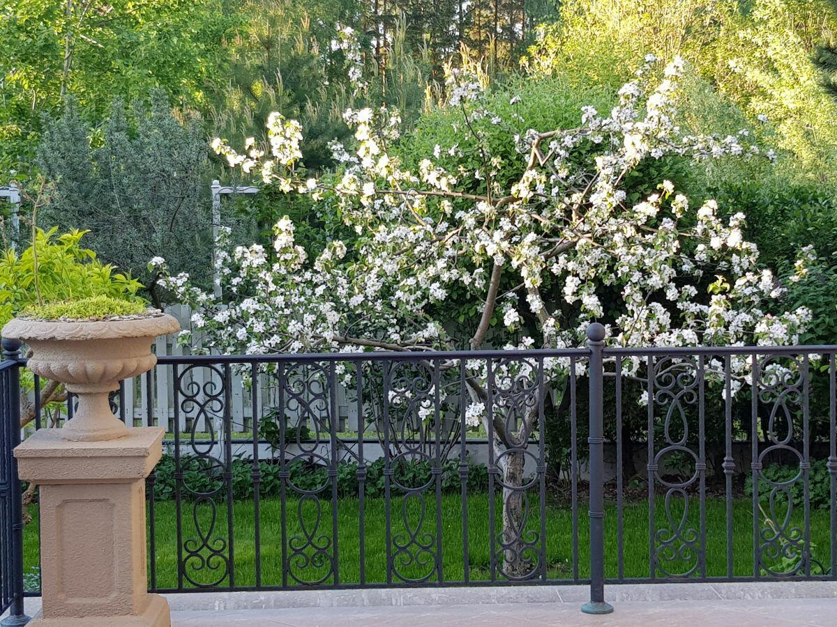 2-этажный коттедж 972 м² с отделкой