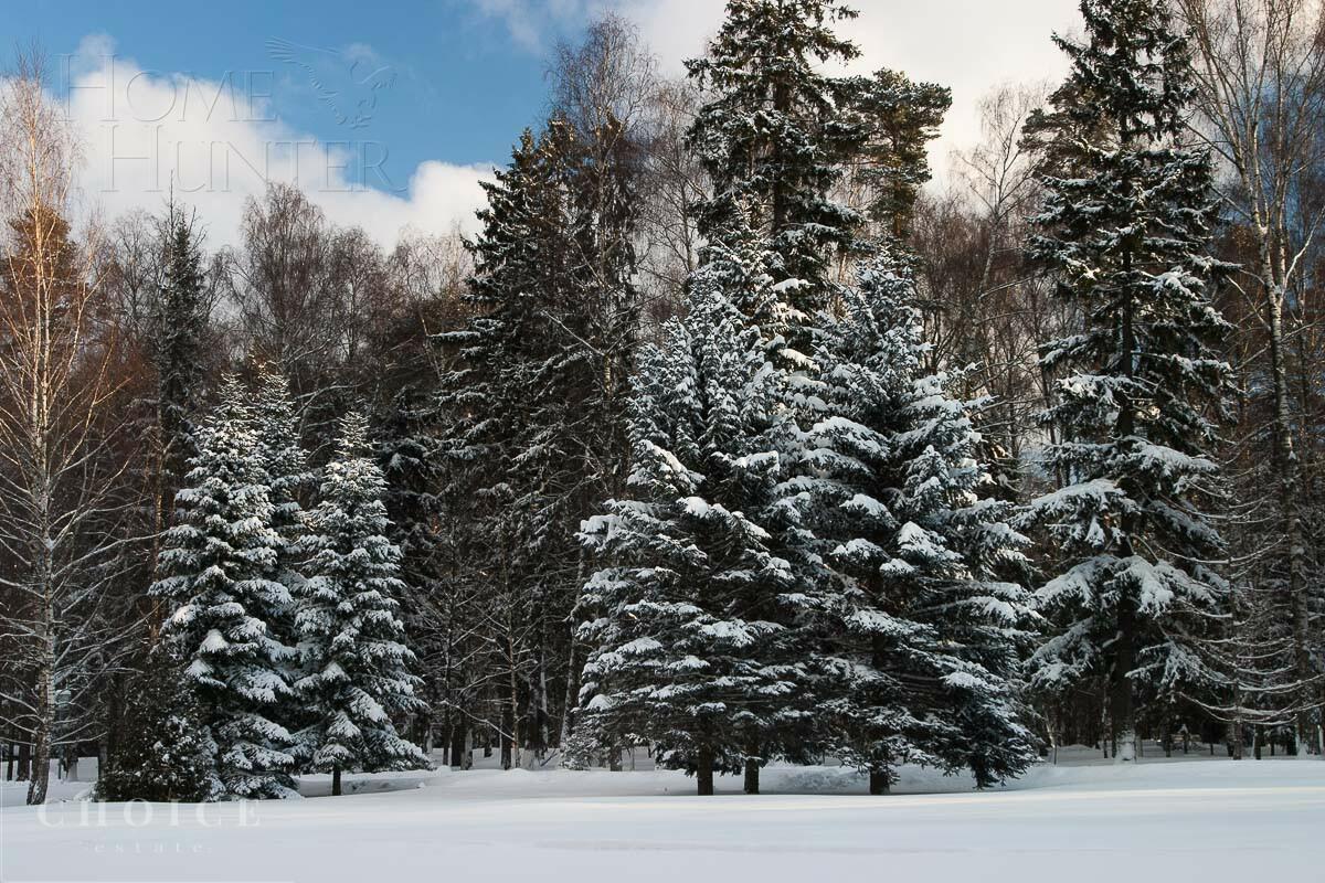 Участок 117 сот. в охраняемом поселке