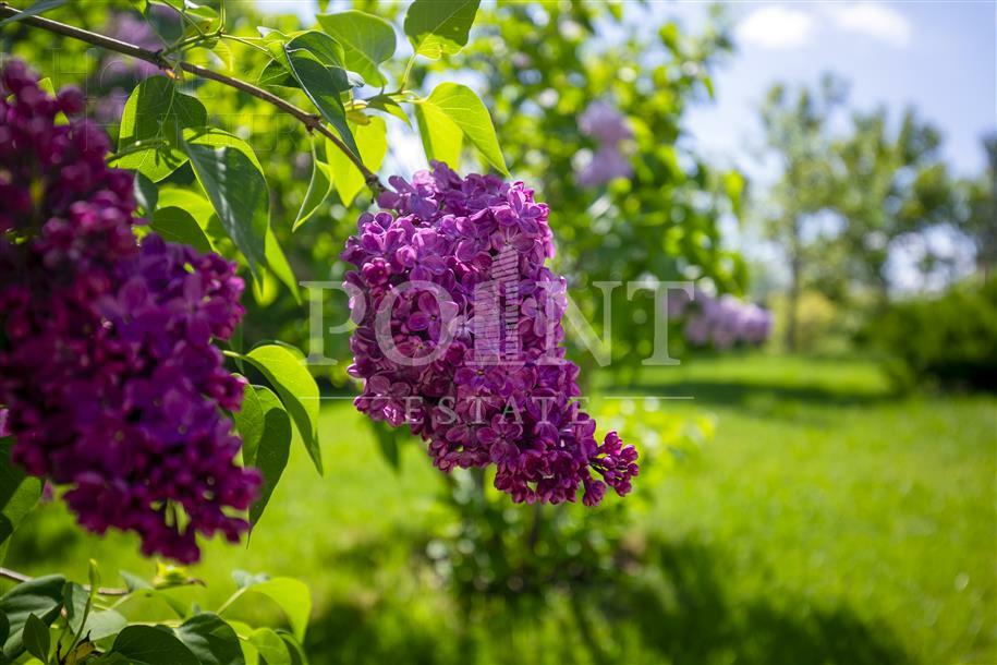 2-этажный коттедж 720 м² с отделкой