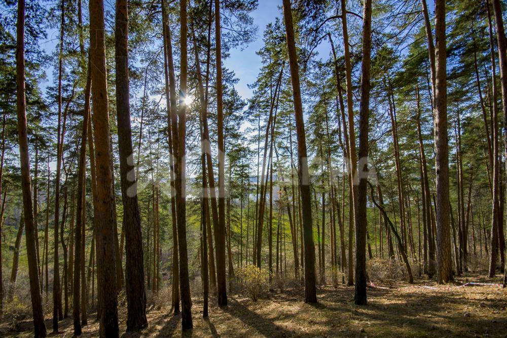 Участок 16 сот. в охраняемом поселке