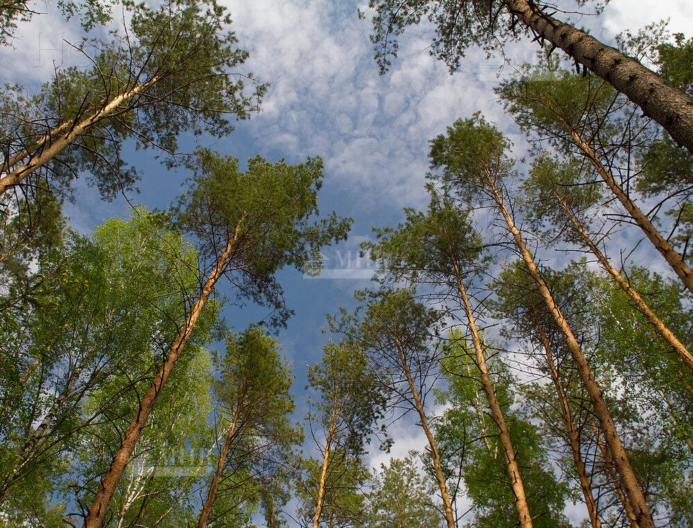 Участок 192.56 сот. в охраняемом поселке