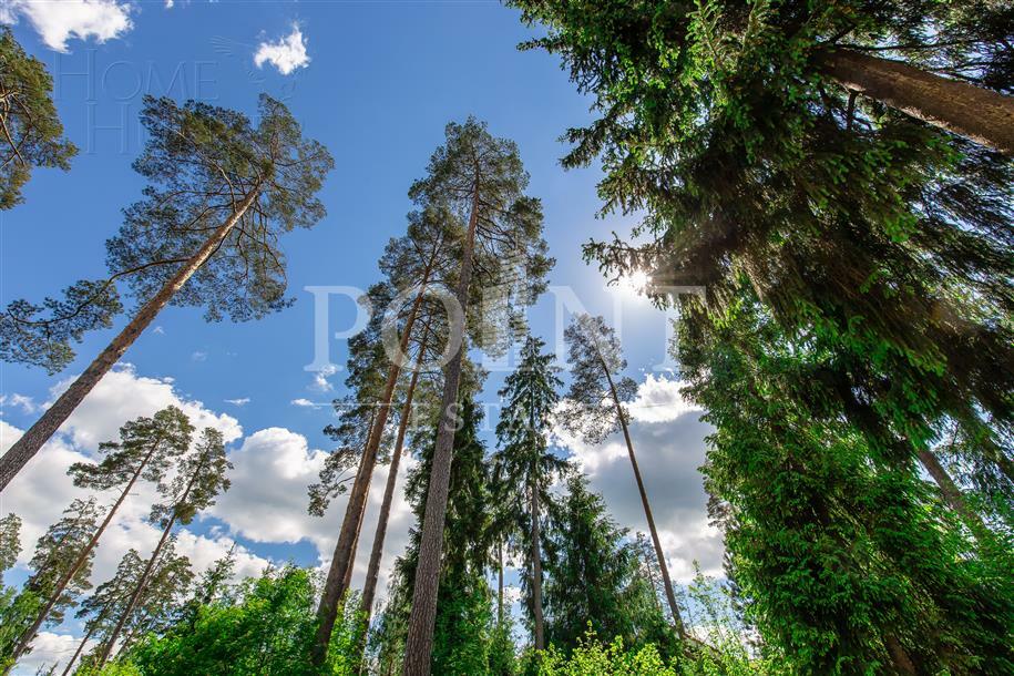 Участок 40 сот. в охраняемом поселке