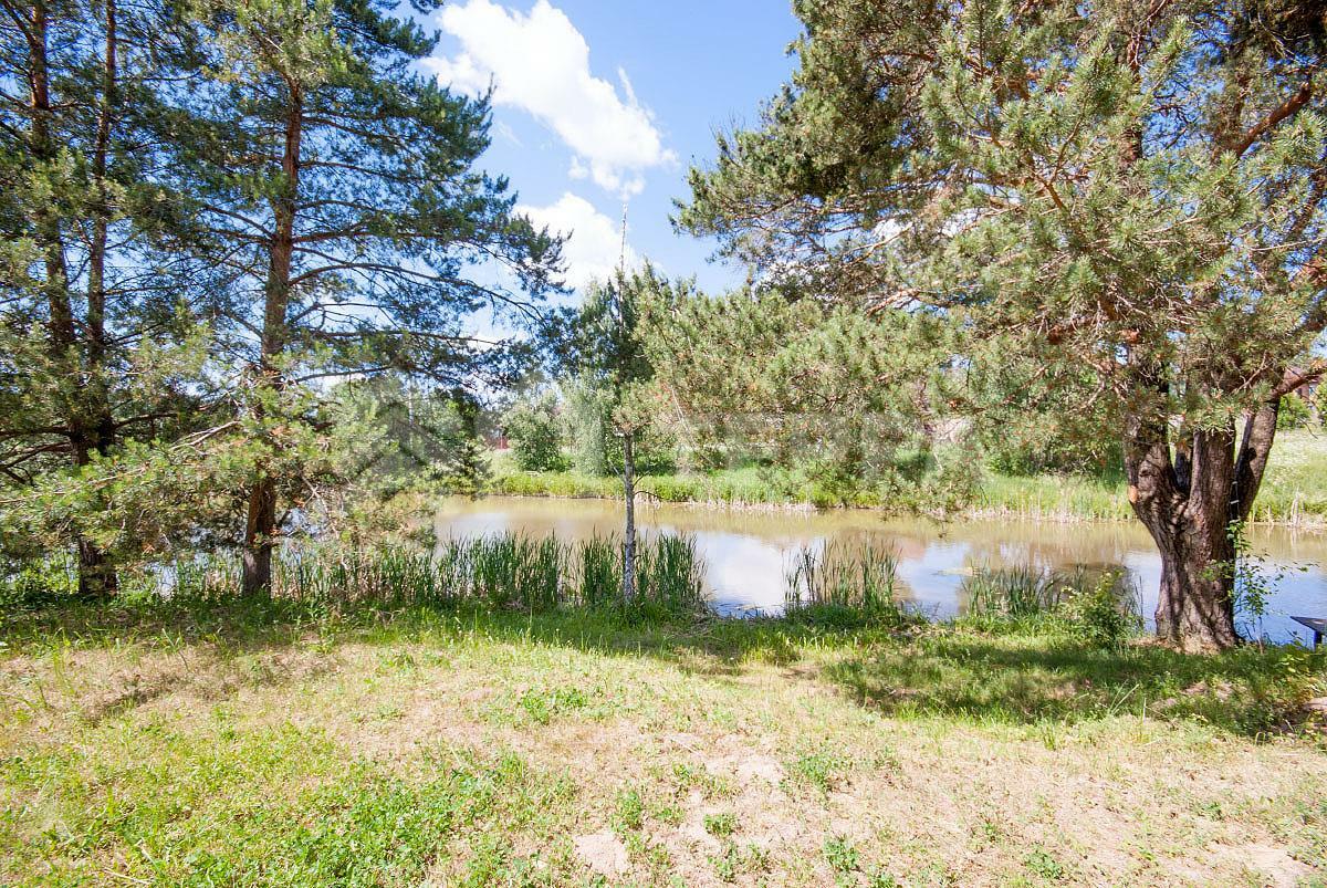 Участок 25 сот.