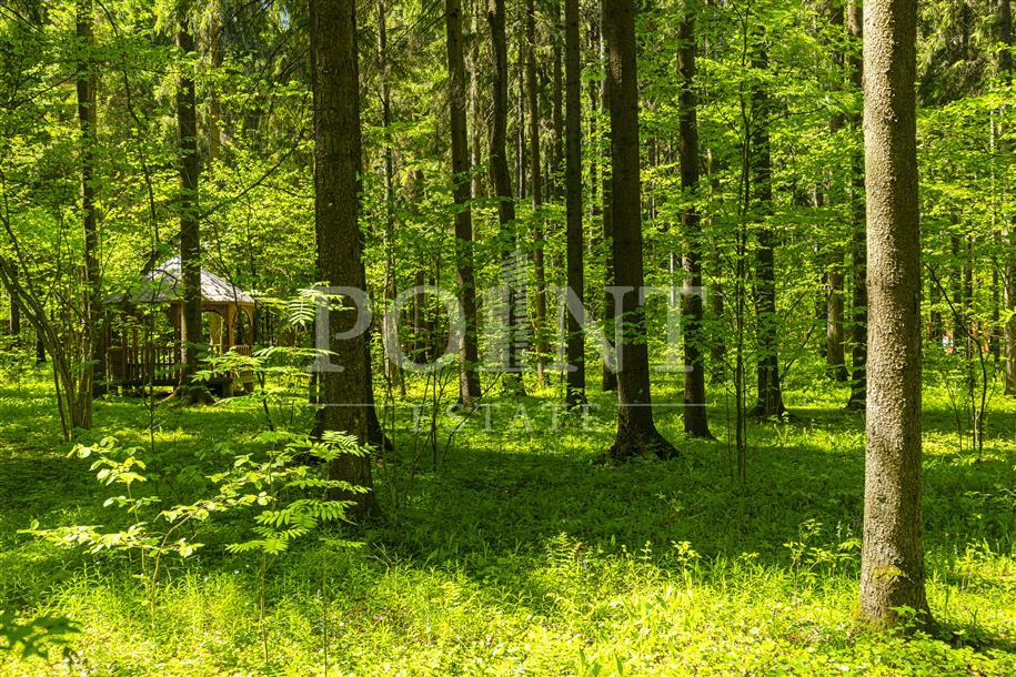 Участок 100 сот.