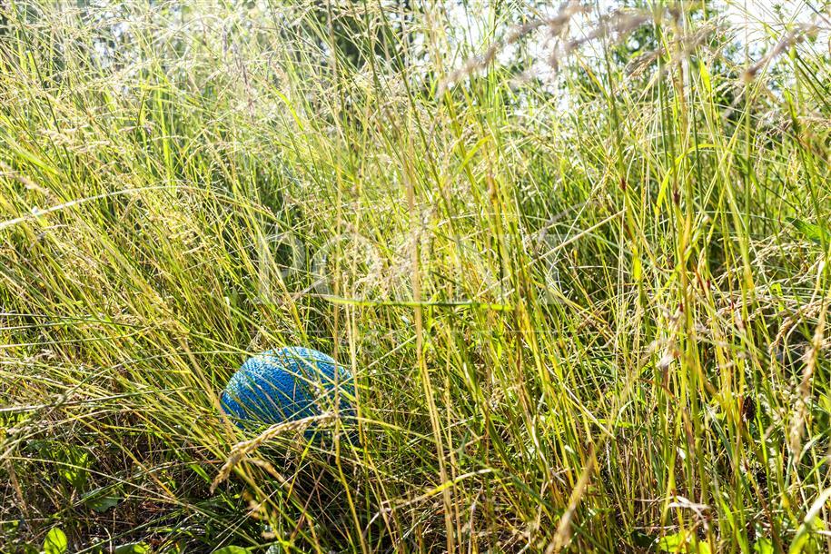 Участок 30.08 сот. в охраняемом поселке