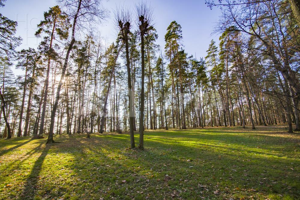 Участок 16 сот. в охраняемом поселке