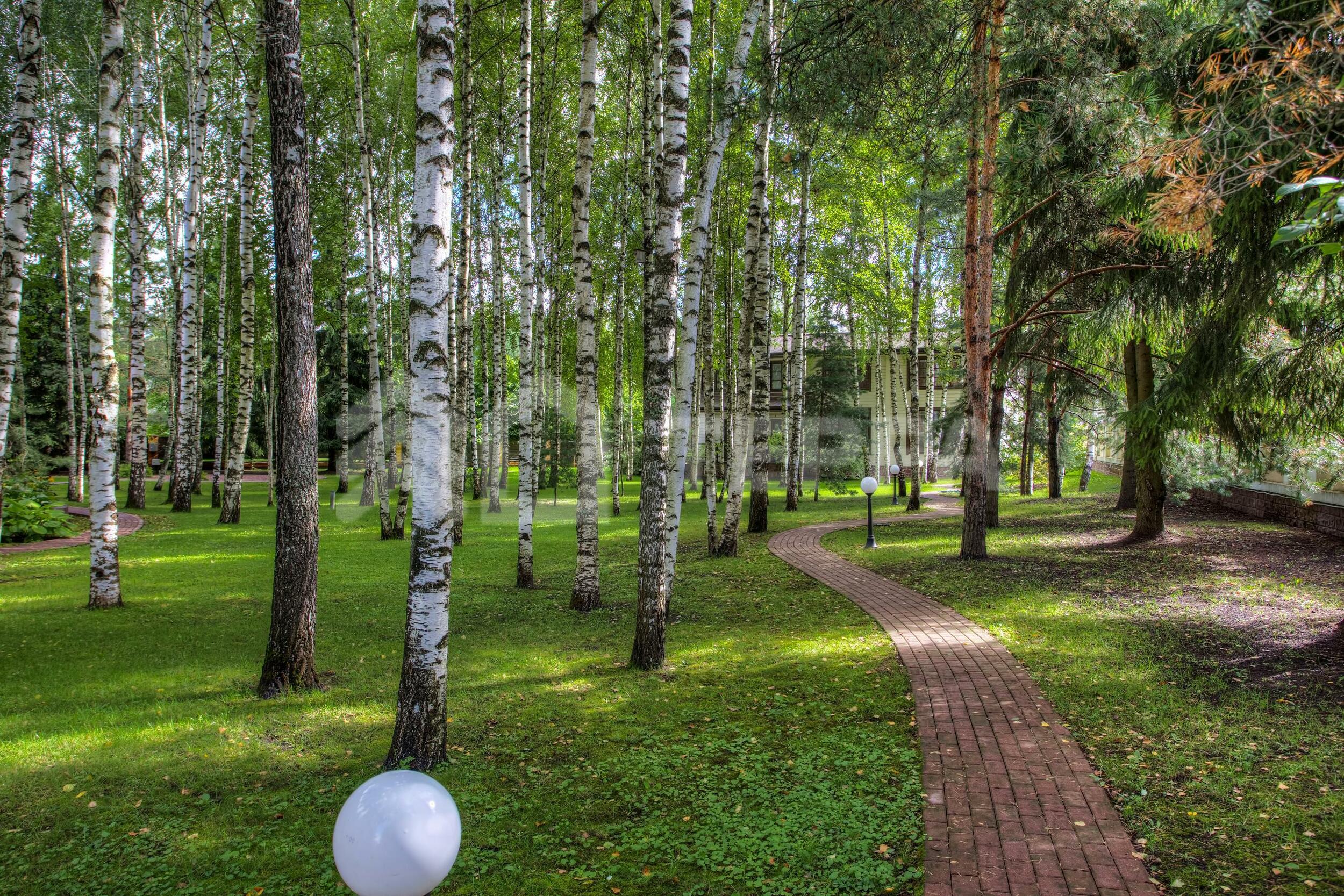 2-этажный коттедж 1 200 м² с отделкой