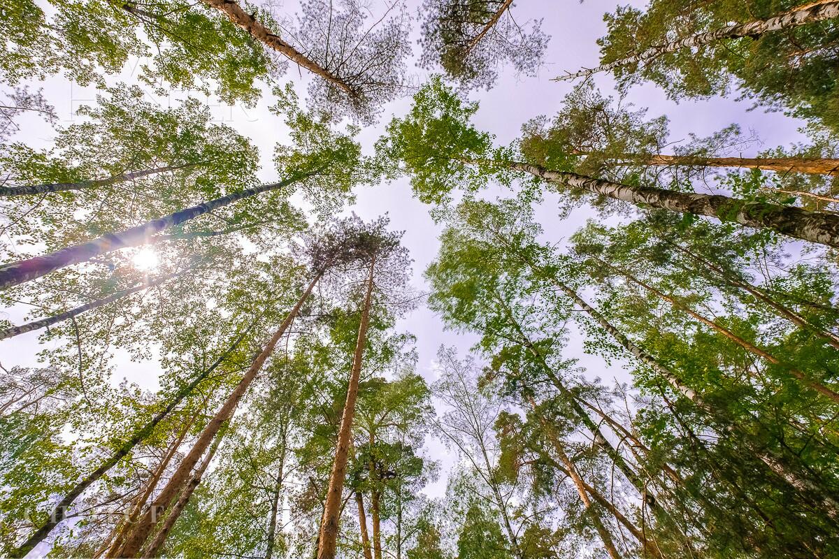 Участок 24 сот. в охраняемом поселке