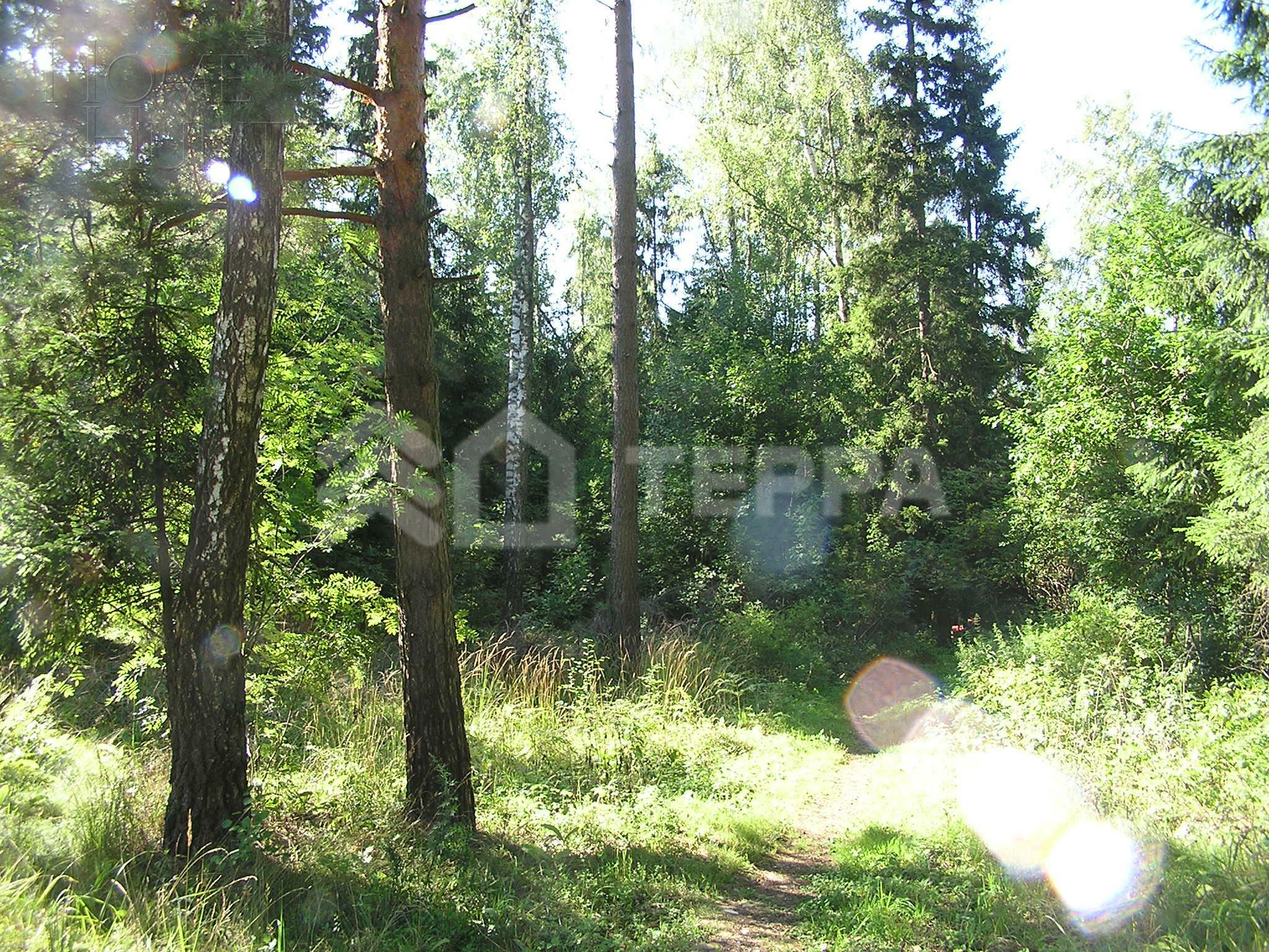 Участок 177 сот. в охраняемом поселке