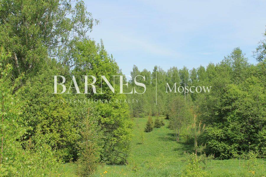 Участок 465 сот.