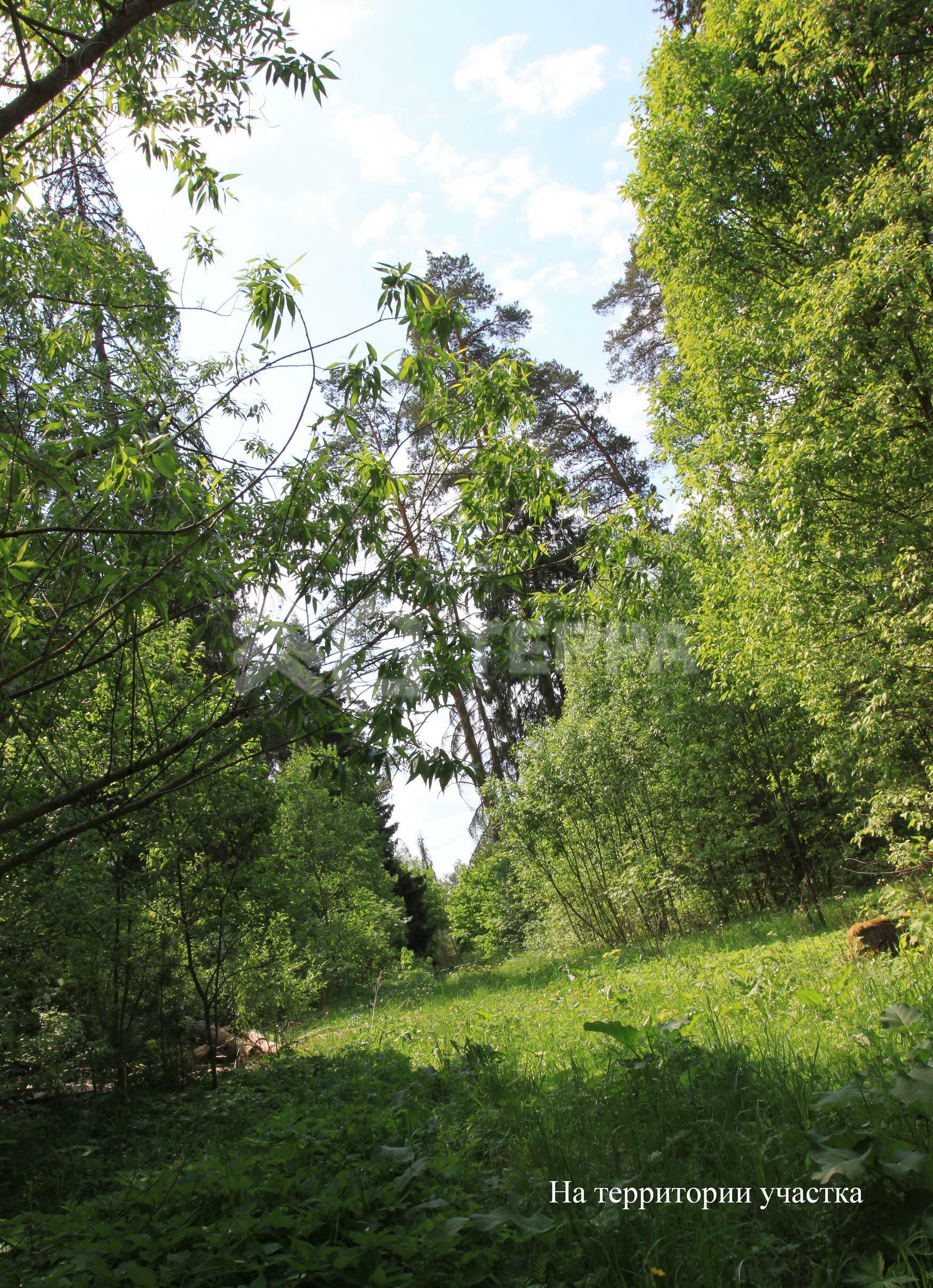 Участок 540 сот.