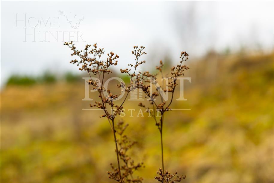 Участок 38.63 сот. в охраняемом поселке