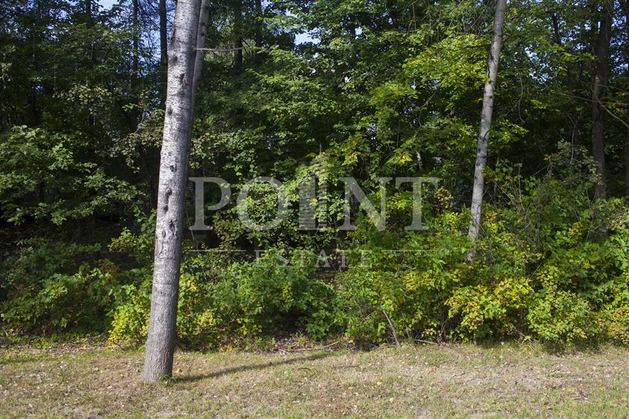 Участок 54.8 сот. в охраняемом поселке