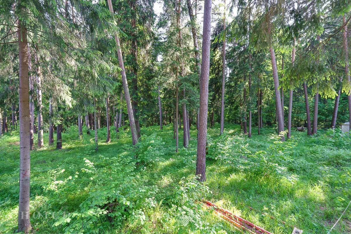 Участок 54 сот. в охраняемом поселке